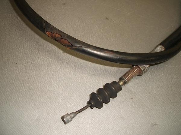 TLM50 Nb`C[ AD07-1010