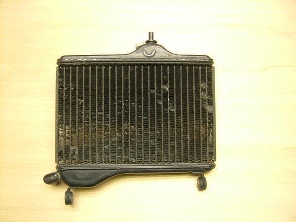 RZ250R WG^[ 29L-0493