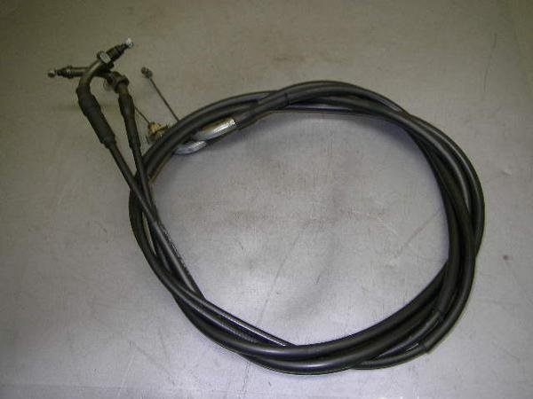 tH[TCg250 ANZC[2{ MF04-1010