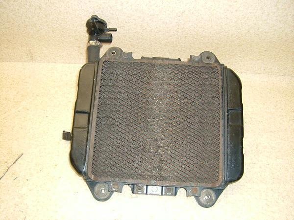 ZZR250 WG^[Et@ELbv EX250H-0254