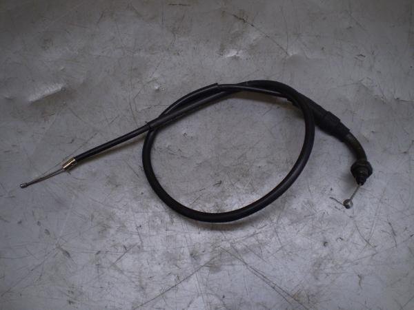 CD50 ANZC[ CD50-2205