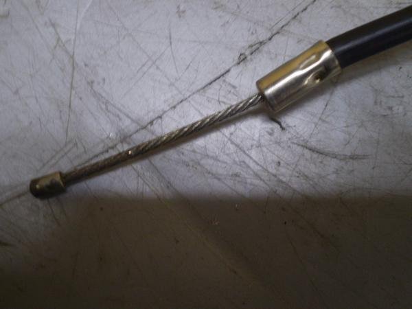 CD50 ANZC[ CD50-2205