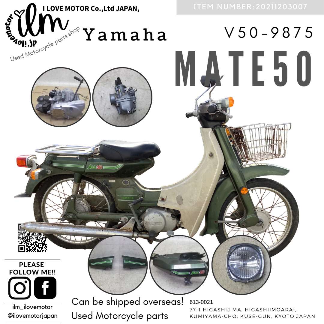 Cg50 (6V)/ MATE50 V50-9875