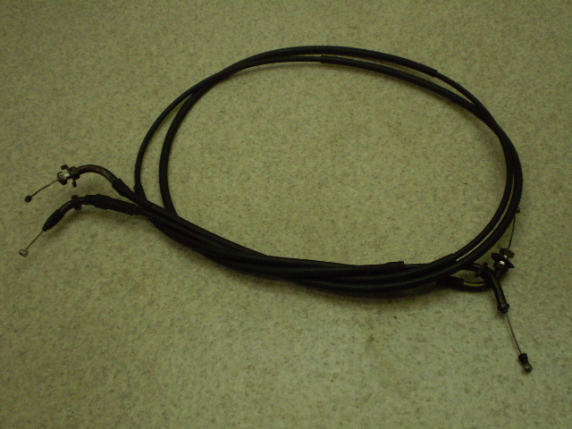 tH[TCg250 ANZC[ MF04-1101